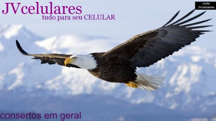 jvcelulares